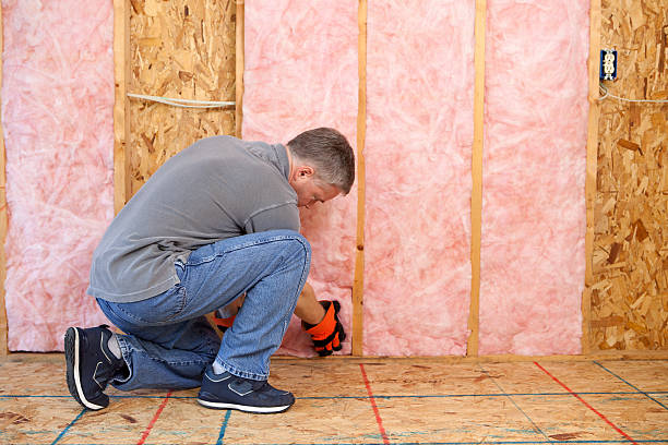 Best Insulation Installation Services in Luckey, OH
