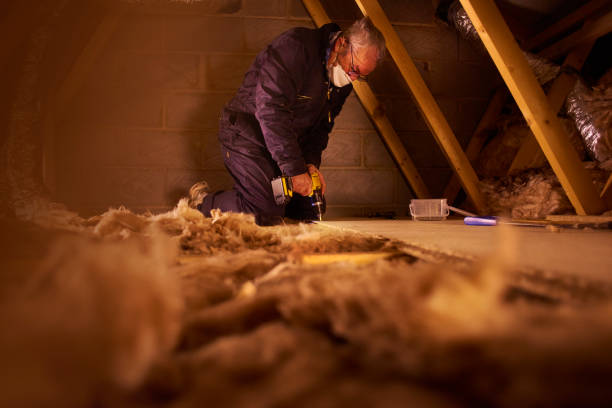 Best Commercial Insulation in Luckey, OH